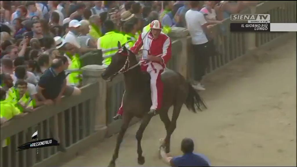 PALIO 2 LUGLIO 2019 GIRAFFA