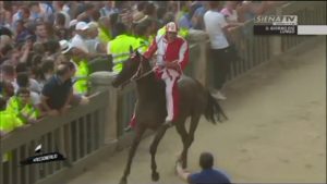 PALIO 2 LUGLIO 2019 GIRAFFA