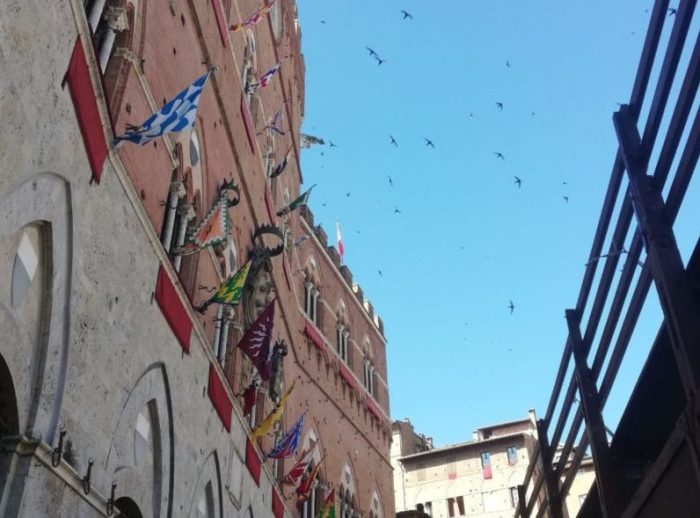 L'Aquila vince la Provaccia