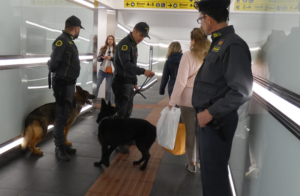 Controlli antidroga: due ventenni senesi beccati alla stazione dai "finanzieri a quattro zampe"