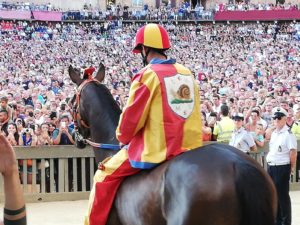 Terza prova, vince la Chiocciola
