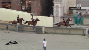 Palio, in onda alle 13 un nuovo approfondimento sulle prove regolamentate