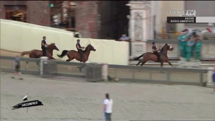 Palio, in onda alle 13 un nuovo approfondimento sulle prove regolamentate