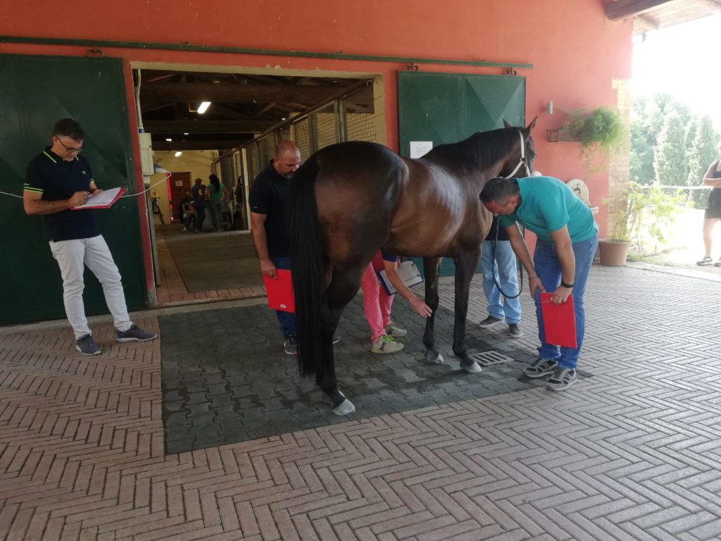 Palio, terminata la prima mattina di previsite