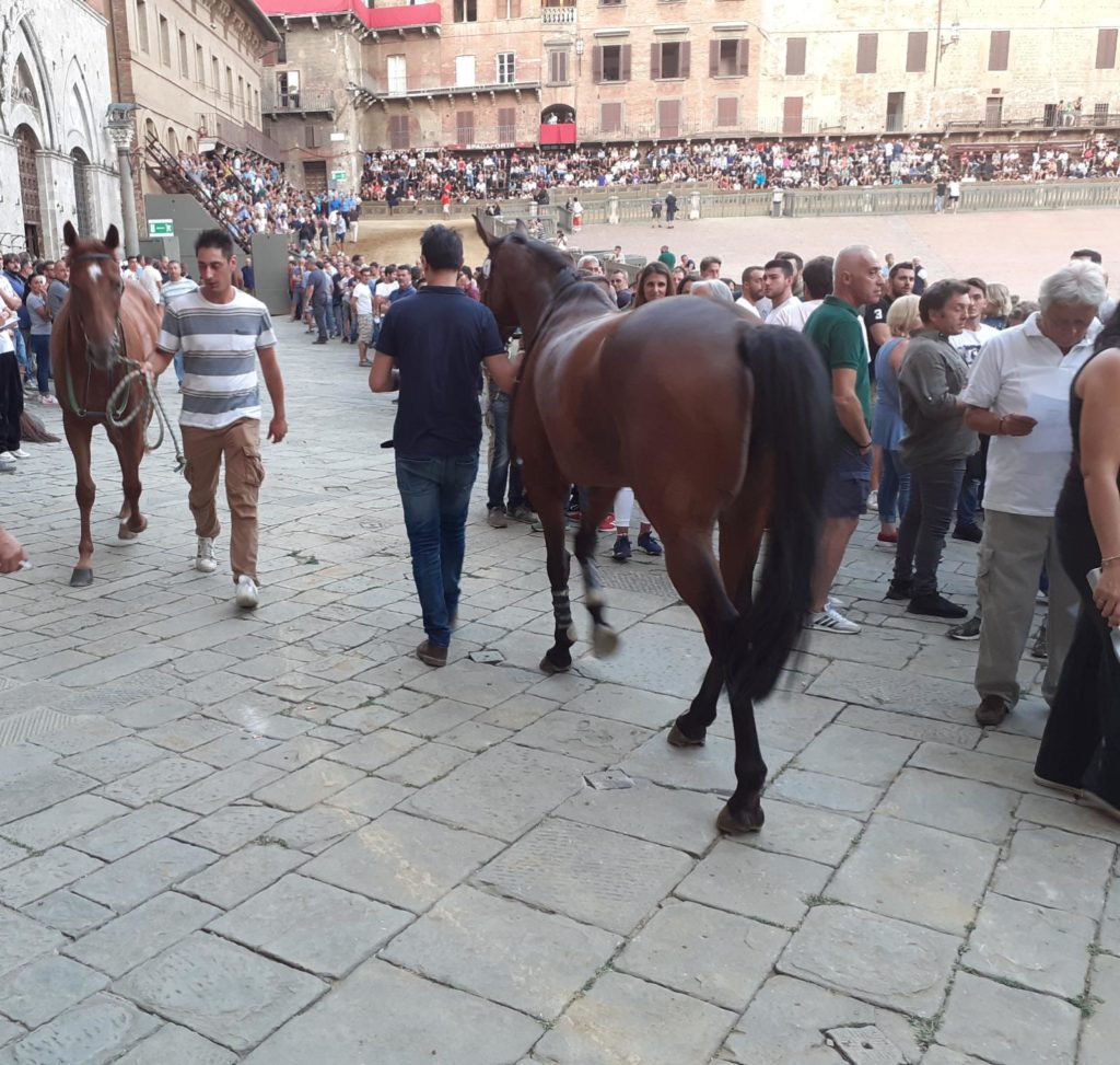 Quarta prova delle sette totali, nomi importanti in Piazza