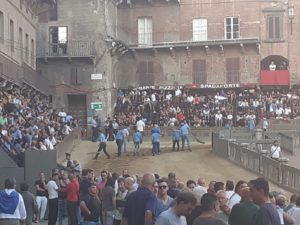 Sesta prova, in Piazza cavalli giovani. Ancora una caduta