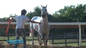 PREVISITE AGOSTO 2019