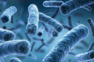 Batterio New Delhi: in Toscana 44 infetti e 17 decessi