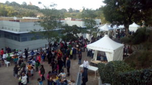 Sienambiente, open day con nuovo format: sei giorni di musica, spettacoli e sport