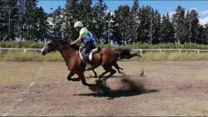 Endurance: Rotegagiu vince a Grosseto con Claudia Bencini