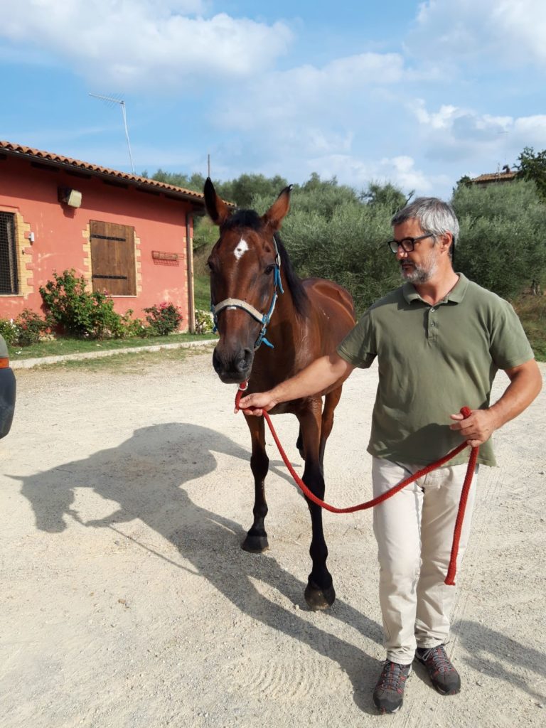 Botticello &egrave; alla clinica del Ceppo