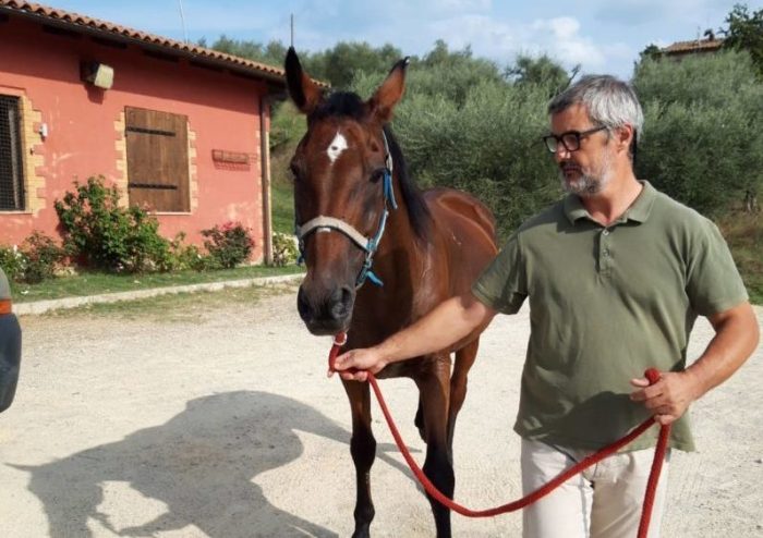 Botticello &egrave; alla clinica del Ceppo