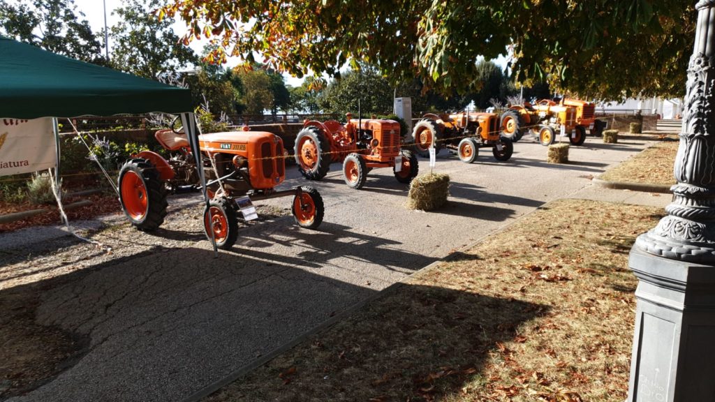 Al via domani l&rsquo;edizione 2019 de &ldquo;La Fattoria in Fortezza&rdquo;