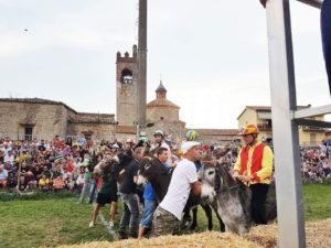 Coronavirus, annullato e rinviato al 2021 il Palio dei Ciuchi di Asciano