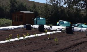 Smaltimento percolato da discarica, progetto rivoluzionario di Sei Toscana a Siena