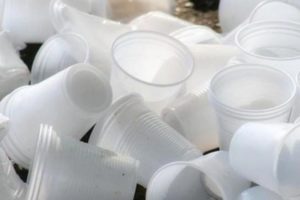 Siena senza plastica: borracce in Consiglio e stoviglie biodegradabili per Contrade e scuole