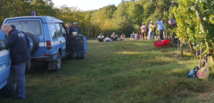 Vendemmia, controlli a tappeto della Polizia: irregolarità nell'impiego dei lavoratori