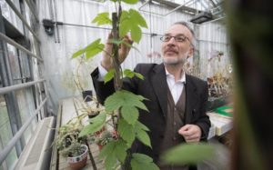 "Circoli virtuosi. L'economia circolare tra utopia e necessit&agrave;", lo scienziato Stefano Mancuso all'Universit&agrave; di Siena