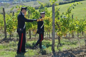 Contrasto al caporalato, a Murlo deferite in stato di libert&agrave; due persone irregolari sul territorio nazionale