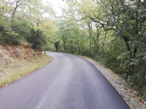 Lavatrici, televisori e water tra gli alberi: il degrado del bosco di Piscialembita