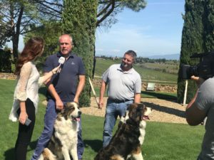 Casa Carpineto, Montepulciano: i cani custodi delle vigne in onda su Canale 5