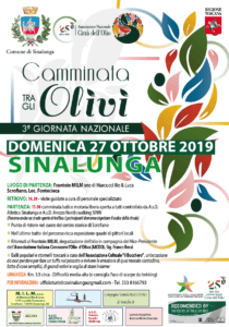 Una camminata tra gli olivi: alla scoperta di Scrofiano