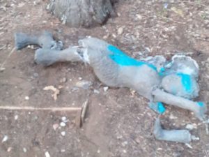 San Miniato, atti vandalici contro le opere d'arte del boschetto