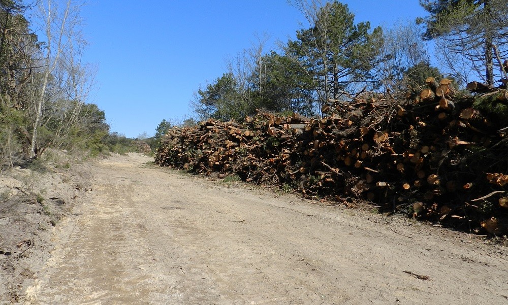 WWF Siena al 5° festival della terra