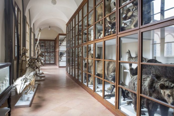 Accademia dei Fisiocritici, tutte le aperture straordinarie del mese di ottobre