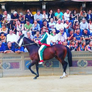 Palio, sanzioni: due Palii di squalifica per l'Oca, sette per Amsicora