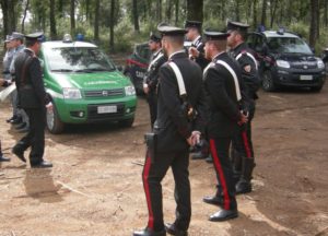 Cerca funghi ma trova un lupo: salvato da Carabinieri e Vigili del Fuoco
