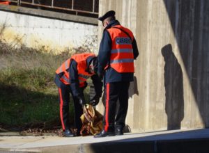 Ruba per amore, 45enne fermato dai Carabinieri