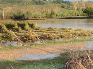 Maltempo, molte aziende agricole e terreni in ginocchio tra Valdarbia e Valdelsa. Il punto di Solfanelli (Coldiretti)