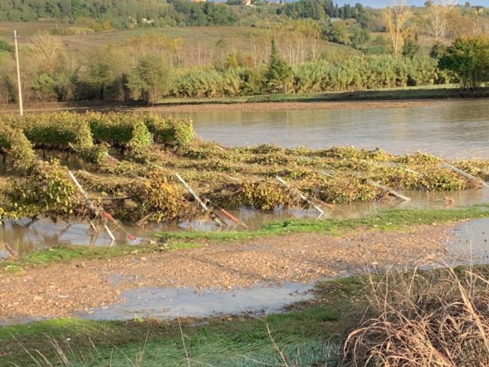 Maltempo, molte aziende agricole e terreni in ginocchio tra Valdarbia e Valdelsa. Il punto di Solfanelli (Coldiretti)