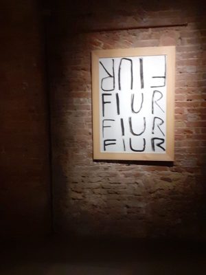 Magazzini del sale: "Fiur" la mostra di Thomas Berra