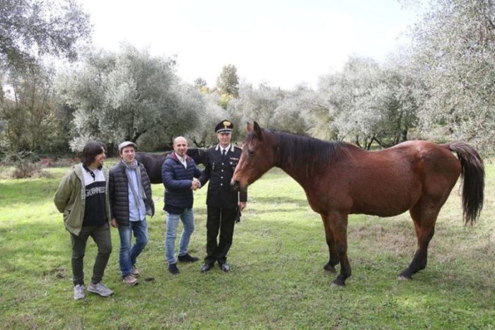 Il ricavato di "A Cavallo di una Fiaba" destinato al pensionario per i cavali del Palio di Siena