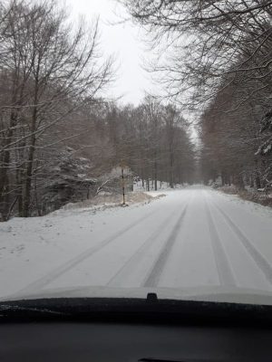 Arriva la neve sull'Amiata: tutto bianco dai rifugi fino alla vetta
