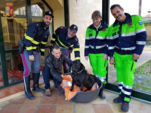 Cane scappa di casa e vaga sull'Autopalio: salvato dalla Polizia Stradale
