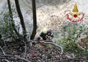 Cane cade nel dirupo di una cava, lo salvano i vigili del fuoco