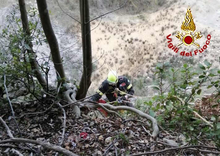 Cane cade nel dirupo di una cava, lo salvano i vigili del fuoco