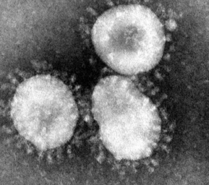 Coronavirus, probabile positivo identificato a Siena