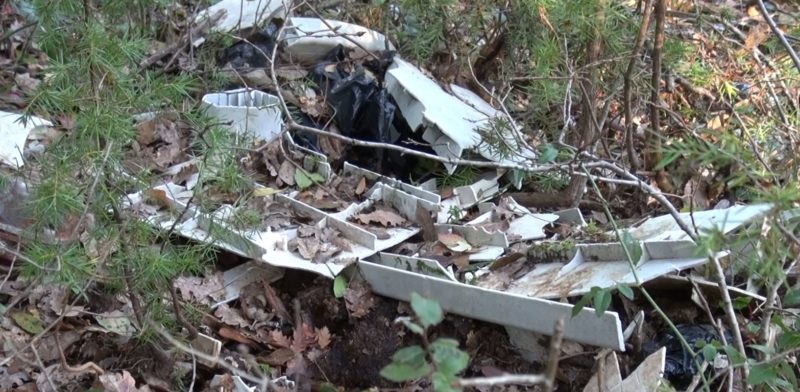 Quando i rifiuti rovinano la natura: il degrado dei boschi della Montagnola
