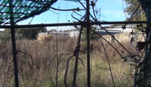 Ex albergo Malizia, Michelotti: "Massima flessibilità nella destinazione d'uso"