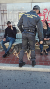 Guardia di Finanza, controlli antidroga con unitá cinofila