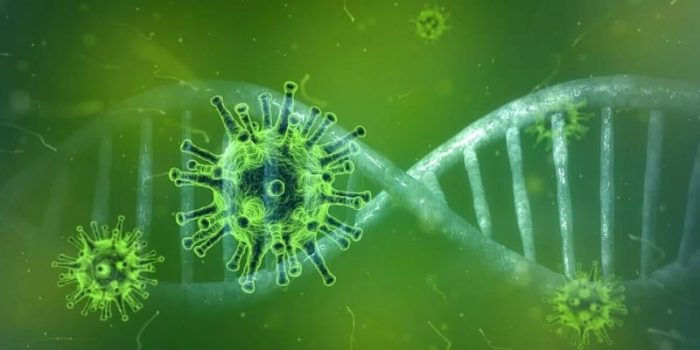 Covid 19, gi&agrave; in funzione nelle tre aziende sanitarie il numero per comunicare contatti e rientri