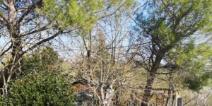 Camion trancia i cavi in Strada di Istieto, cittadini senza luce