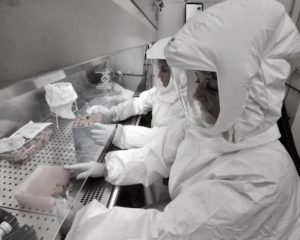 Diesse Diagnostica Senese pronta per la fornitura di test sierologici