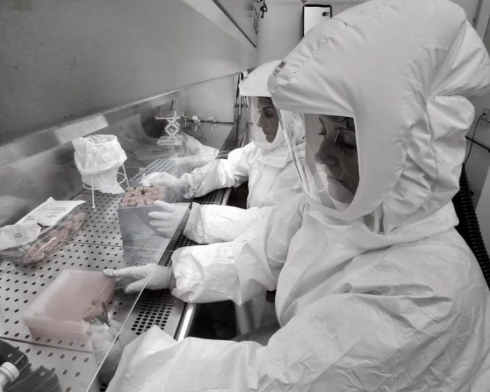 Diesse Diagnostica Senese pronta per la fornitura di test sierologici