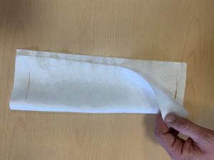 Mascherine agli studenti universitari, la precisazione del DSU Toscana