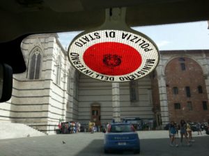 Avvistato un leone a Radi: non è scappato dal circo